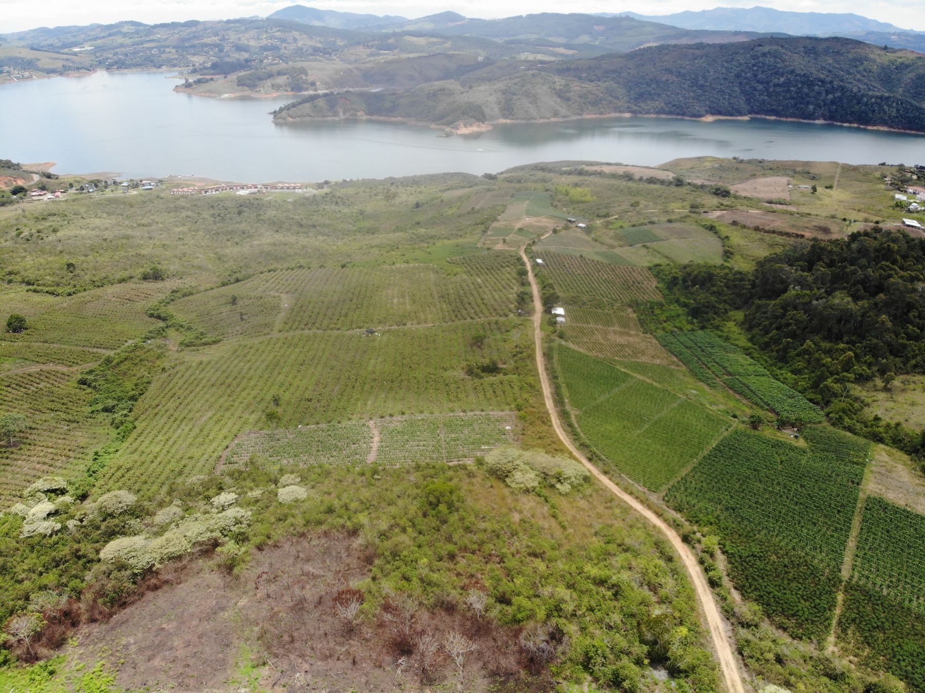 The estate from the air: crops, a dirt road and the lake beyond