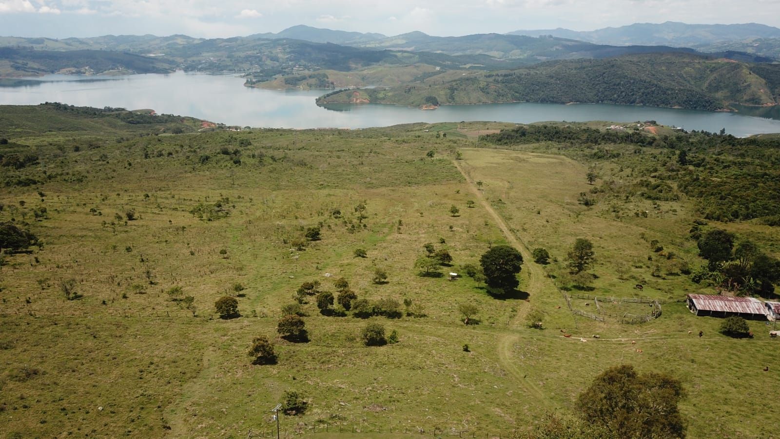 El potrero de la finca bajando hacia el lago, visto desde el aire
