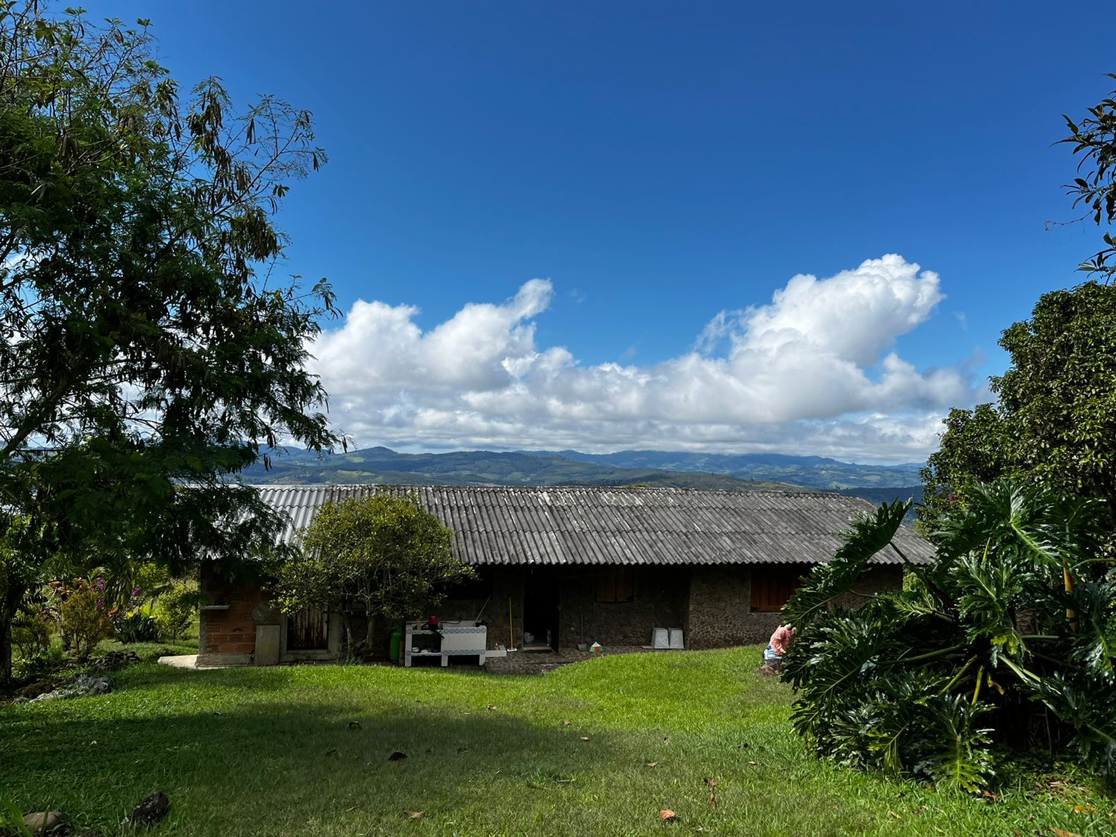 One of the estate's houses among trees, under a blue sky
