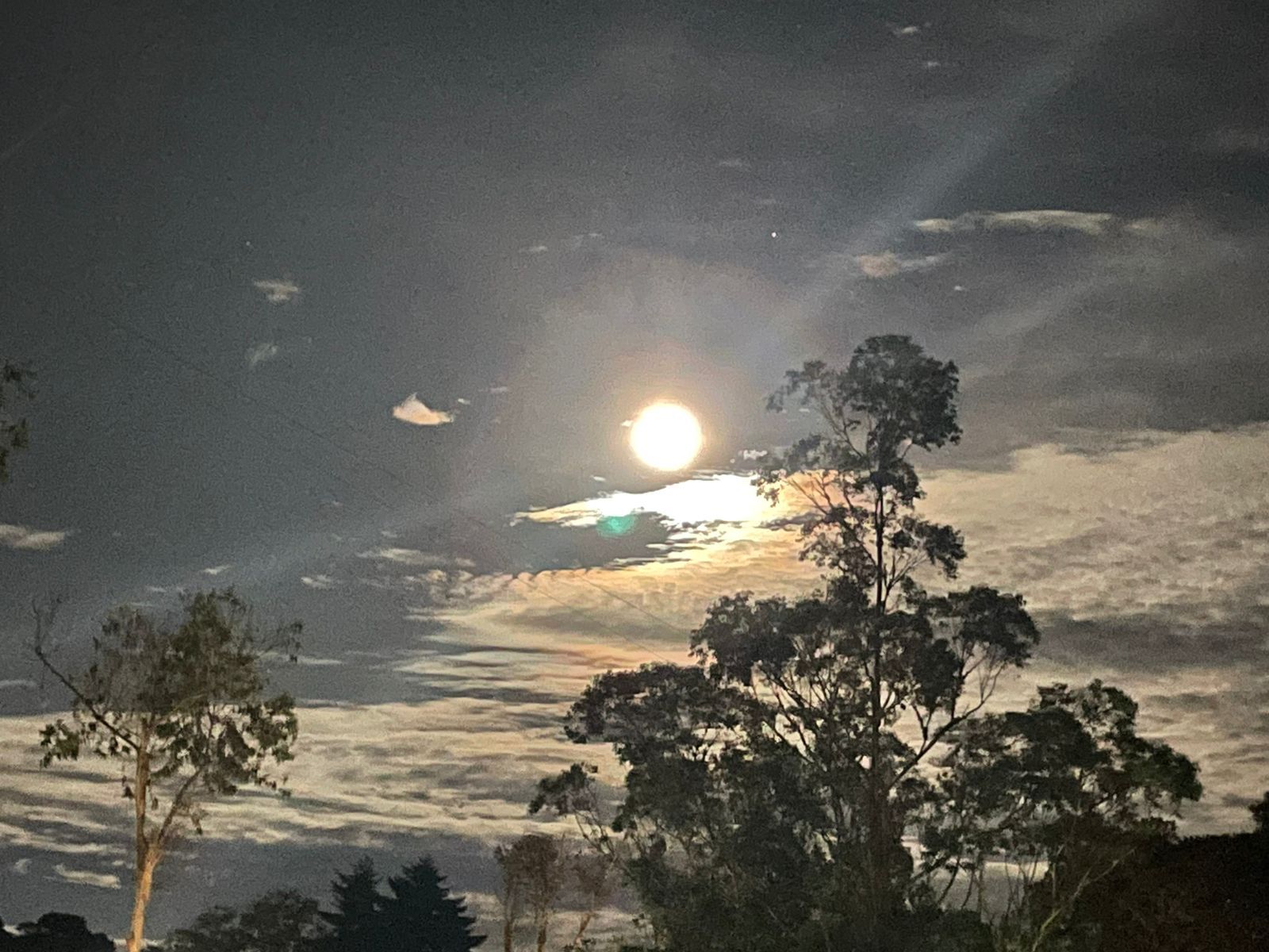 The moon among clouds, behind the estate's trees