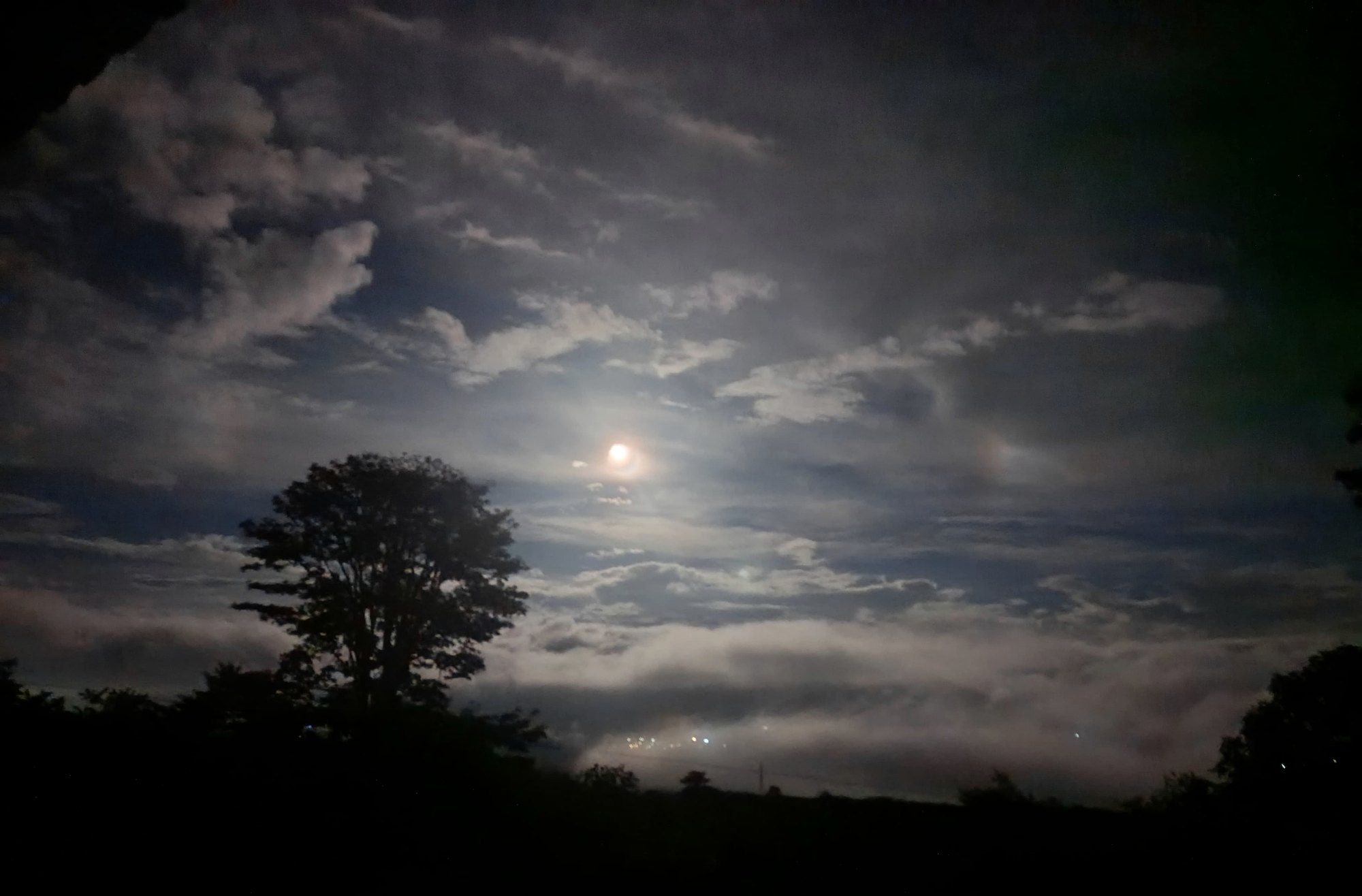The moon in the mist behind the silhouette of a tree