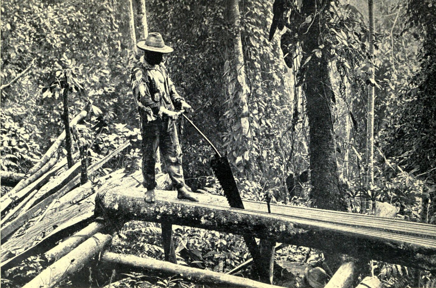 Fotografía antigua de hombres que tumban árboles grandes en el monte colombiano