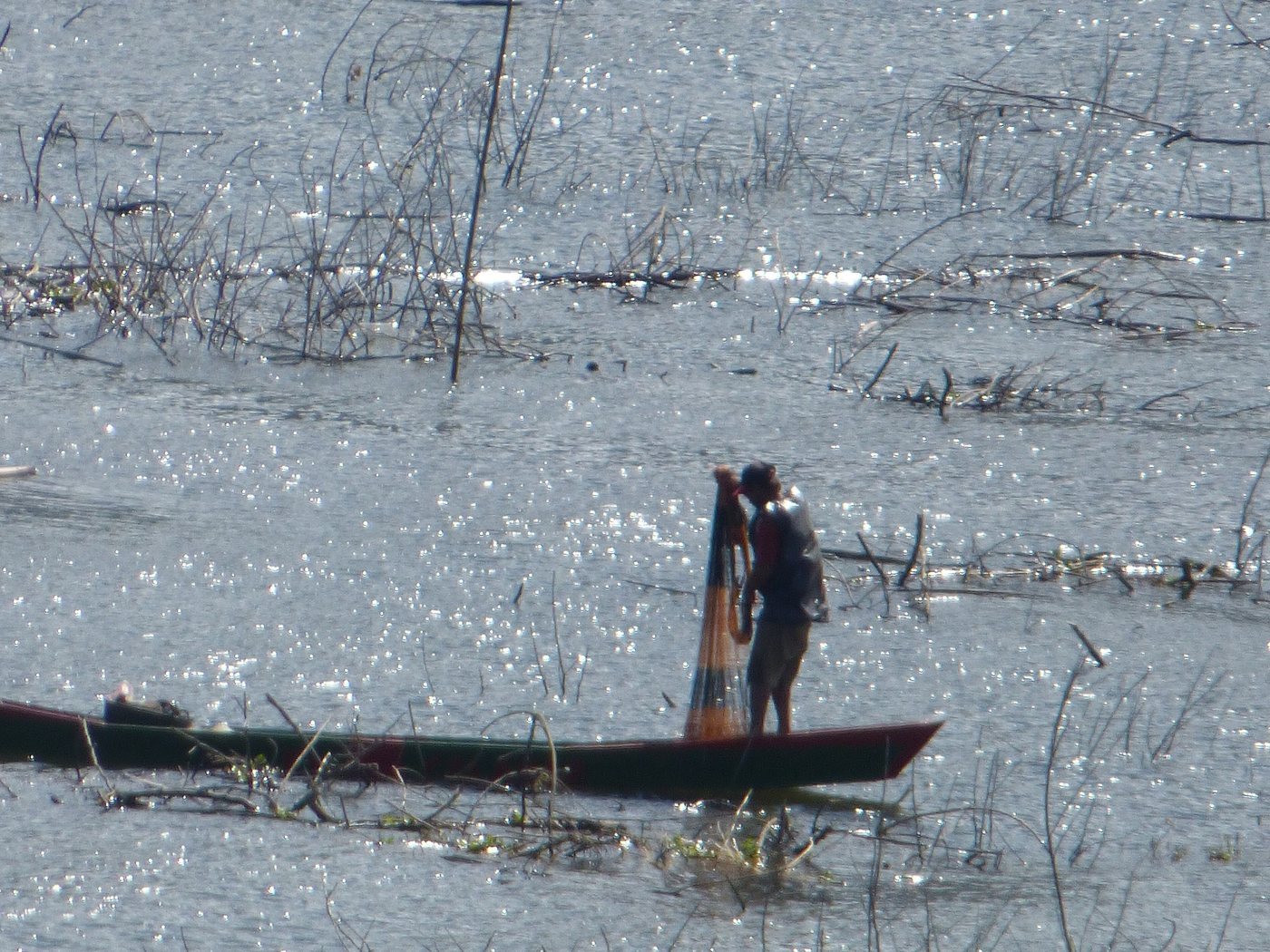 Un pescador de pie en una canoa de madera lanza la atarraya en el Lago Calima